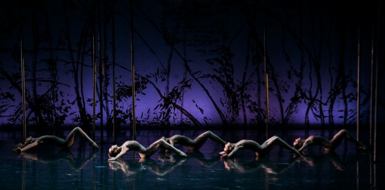 국립발레단 봄의 제전